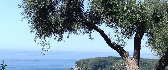 Studios Nikolaou Bros Parga Exteriér fotografie